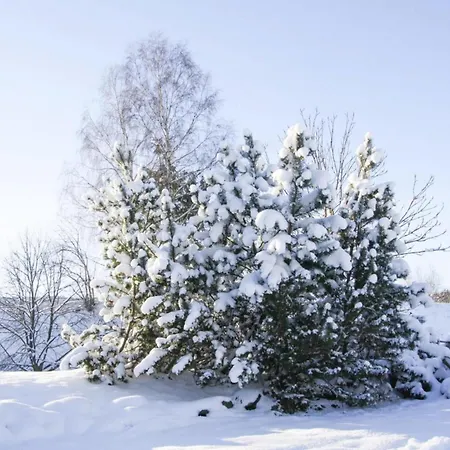 In Nahe Wurmberg Skilift Διαμέρισμα